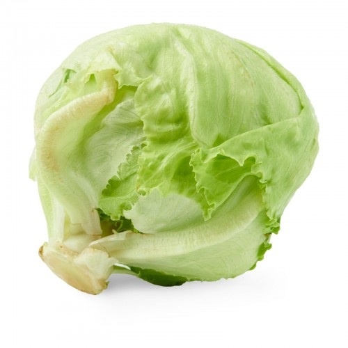 Hạt giống xà lách Mỹ - Ảnh 1